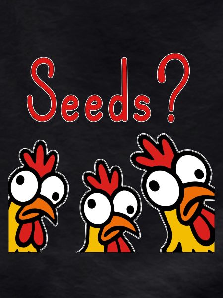 Crazy Chickens Eating Grains Hobby
