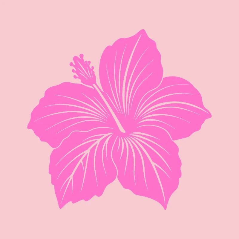Fleur d’hibiscus