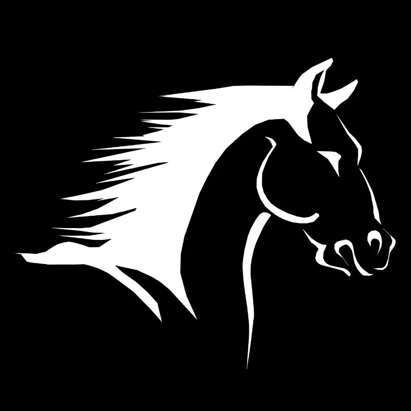 Silhouette de tête de cheval en contraste