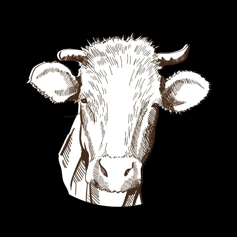 Vache