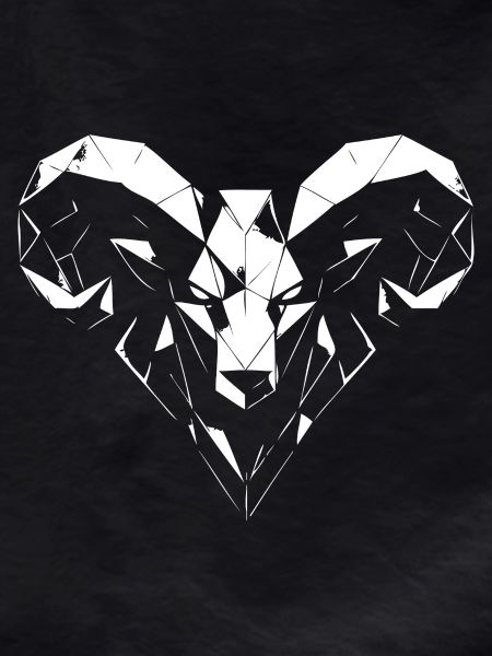 Geometric ram polygon design