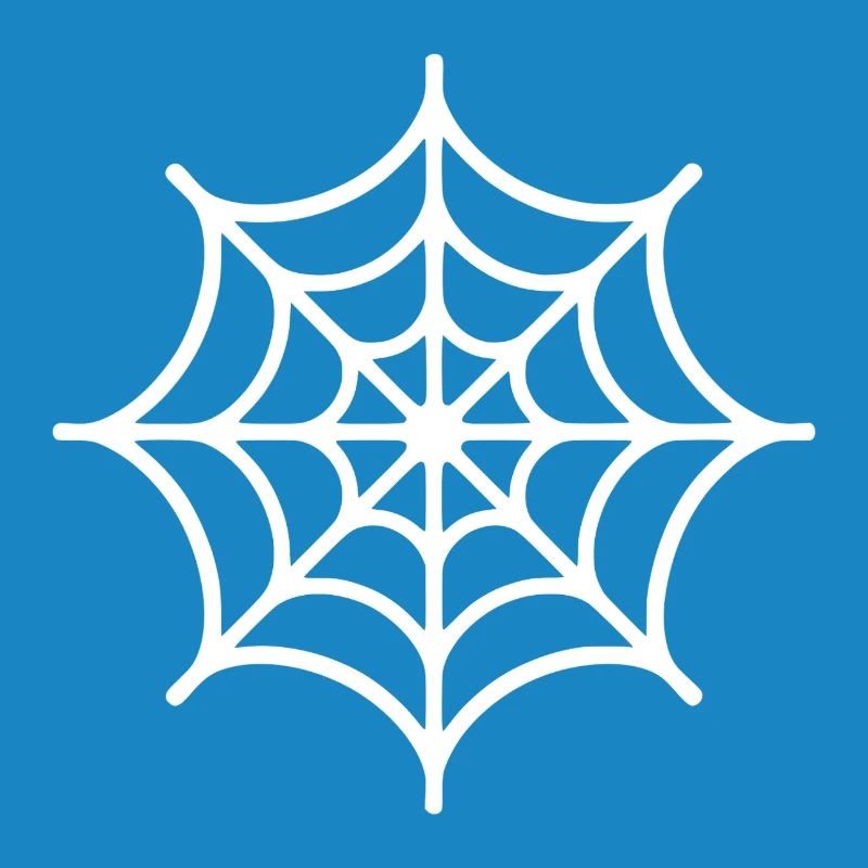 Spider Web Spider