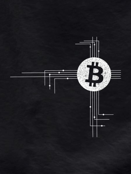 Bitcoin Circuitry Emblem