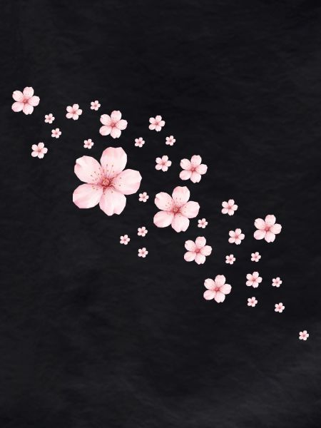 Delicate Cherry Blossoms Illustration