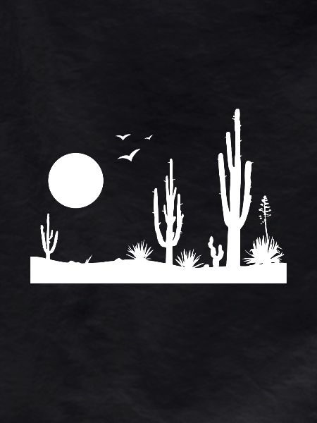 Desert desert landscape