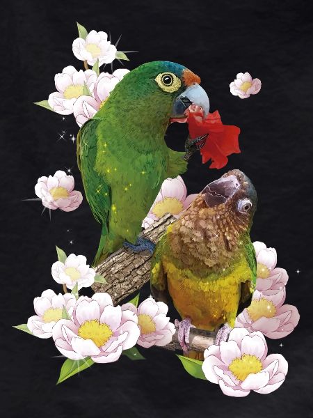 The Dirty-Faced Parrot