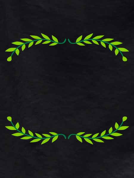 Frame Bay Leaves Illustration