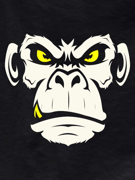 monkey2 01