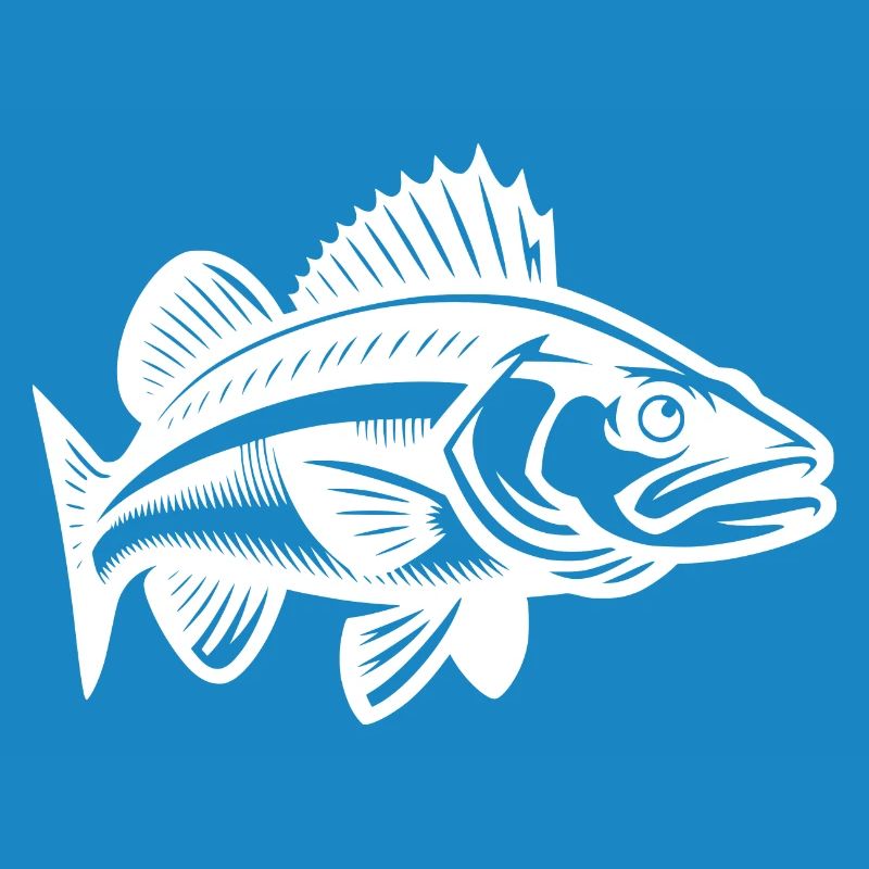 Elegant Zander Fish