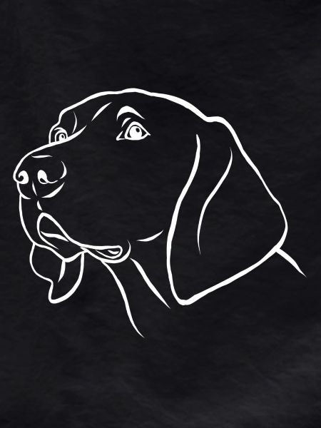 Weimaraner