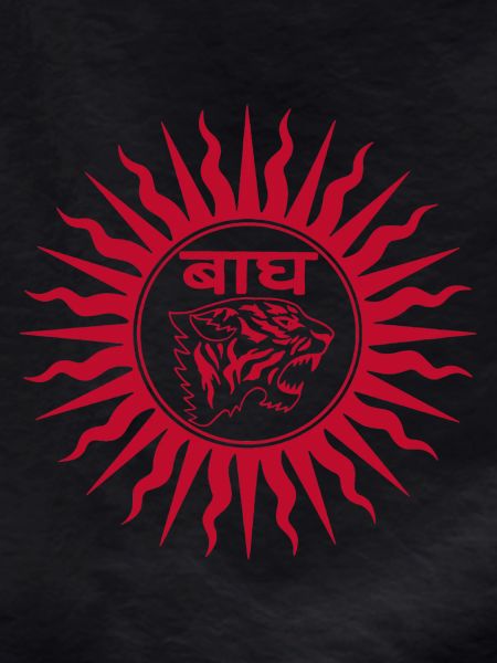 Red tiger in India