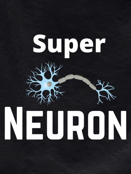 Super Neuron Network