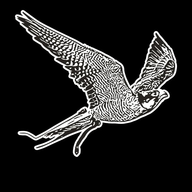 Falke im Flug