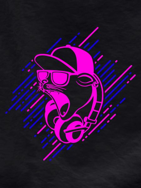 Cool cat with headphones