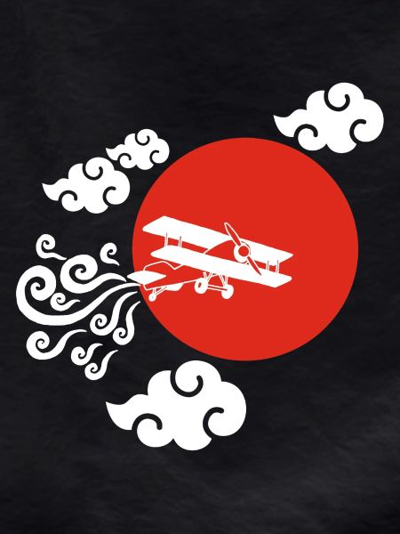 White Airplane and Red Sun