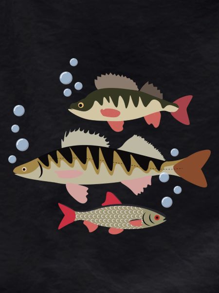 Poisson