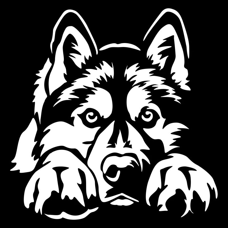 Siberian Husky "Black Edition"