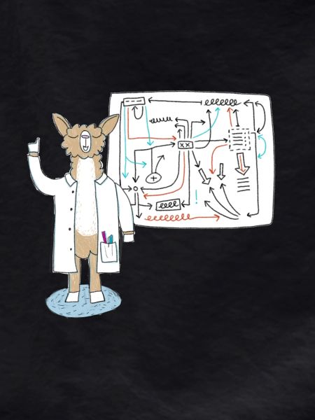 Lama as scientist explains connections