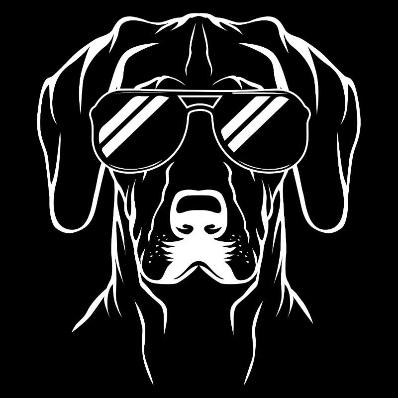 Deutsch Kurzhaar Hund German Pointer