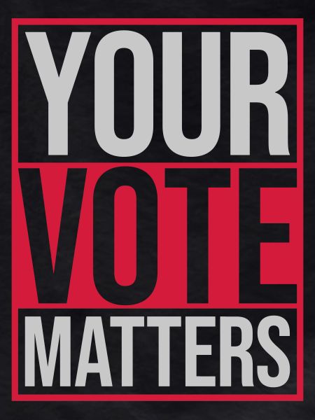 your vote matters quote