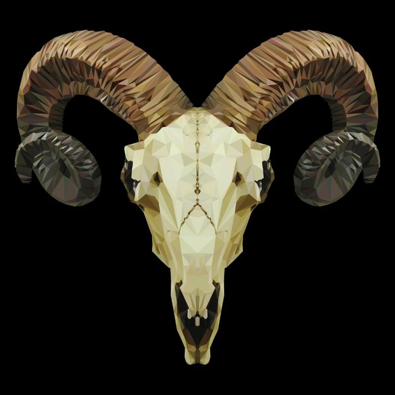 Ram's skull