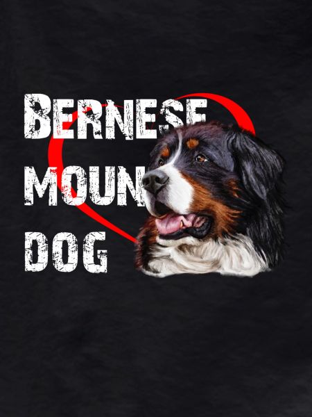 Bouvier bernois