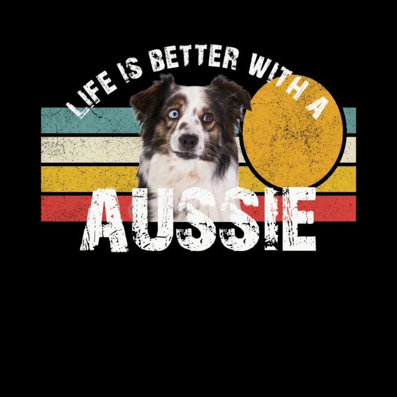 Australian Shepherd