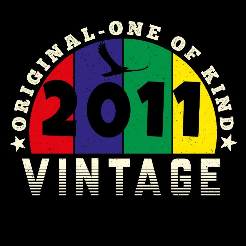 Vintage 2011 Retro - Bursdag