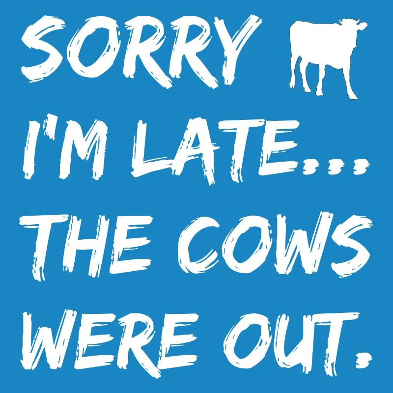 Cow Cows