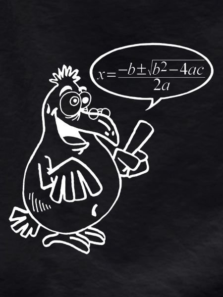 White Smart Bird