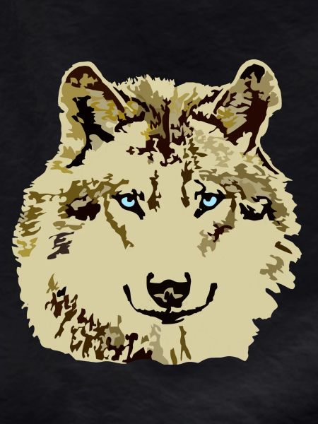 Wolf brown blue eyes