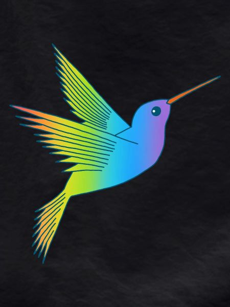 Regenbogenvogel