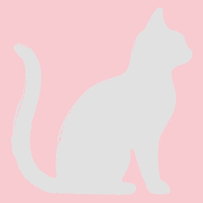 Katze