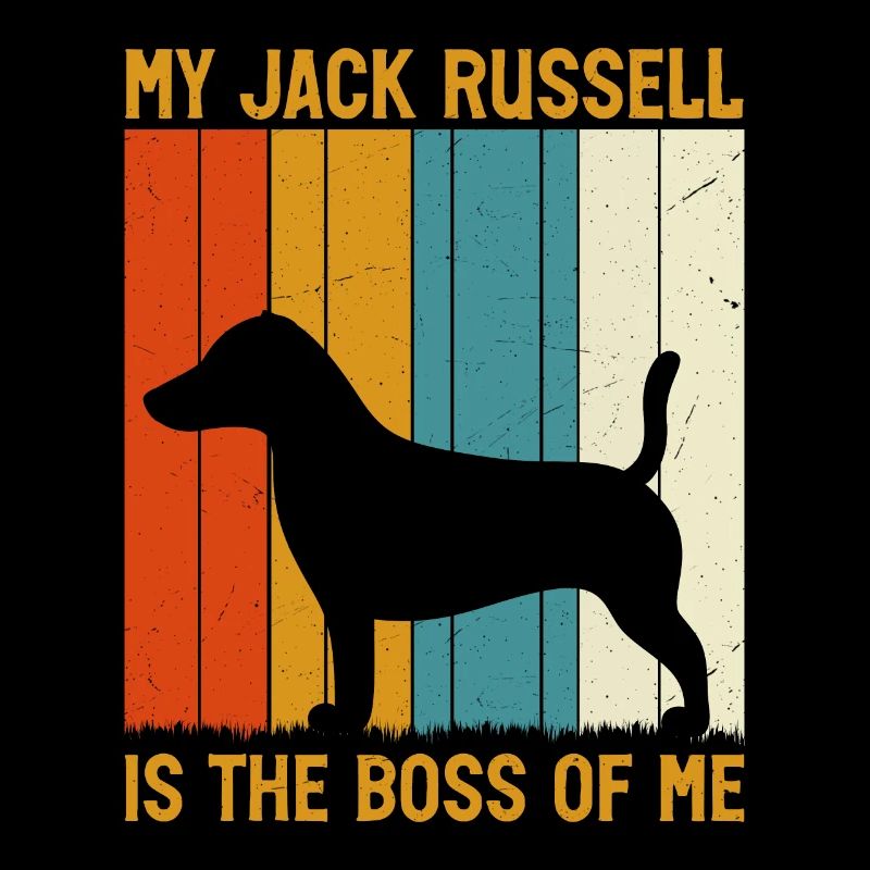 Mon Jack Russell est le chef de moi