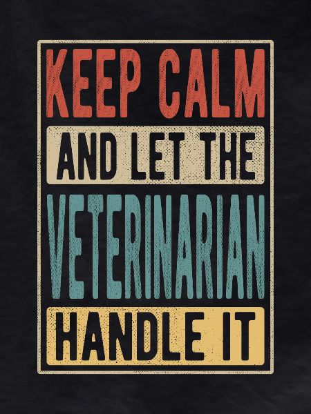 Veterinarian Retro Gift