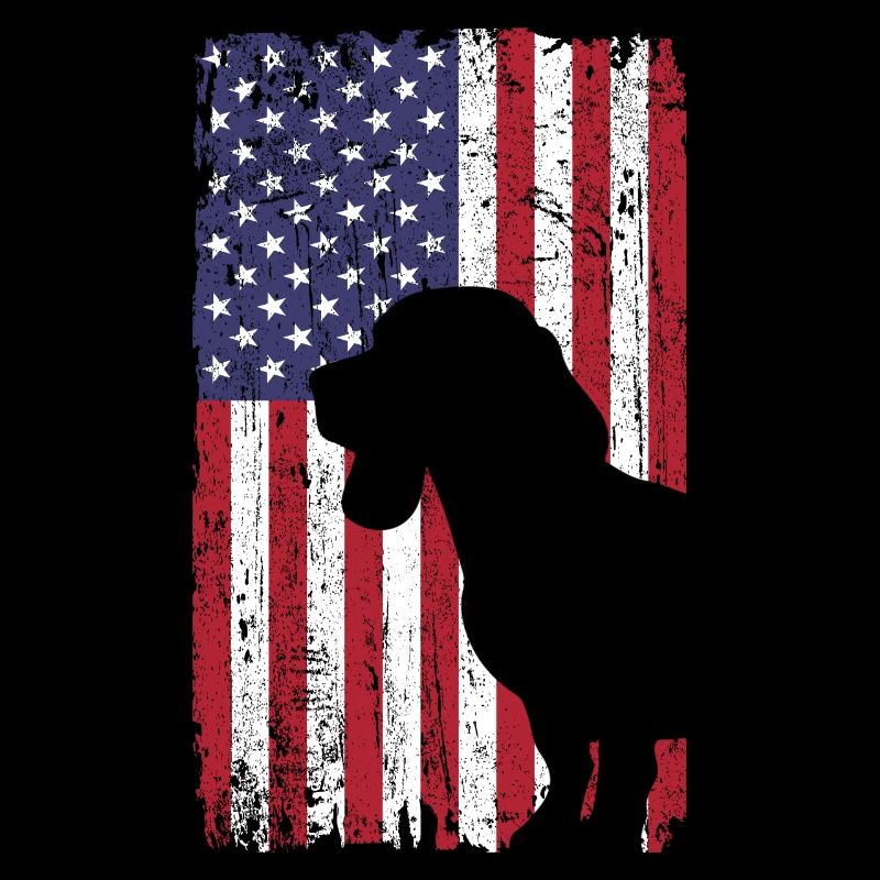 Beagle dog with USA flag