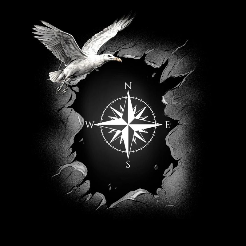 maritime seagull compass seagulls wind rose