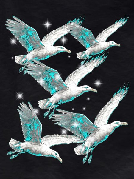 Maritime, Seagulls, Seagulls, Seabirds