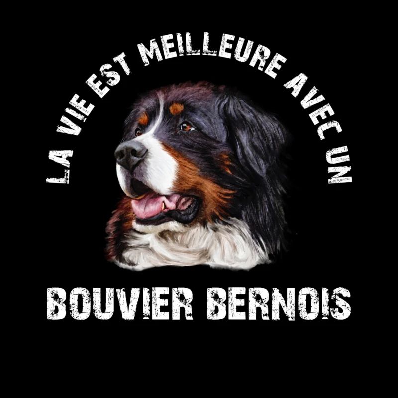 Bouvier bernois