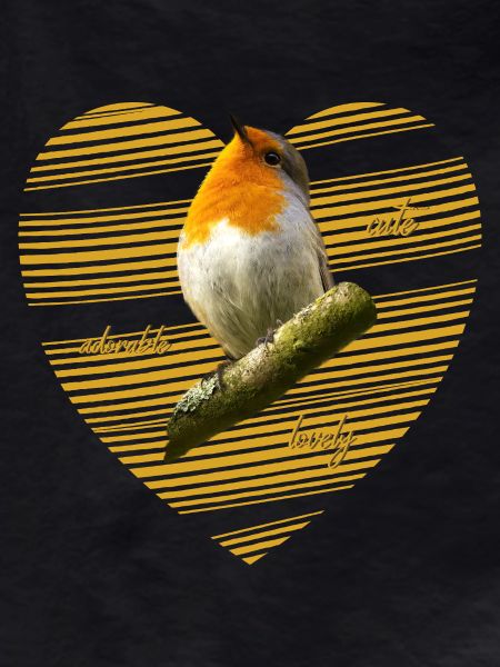 Robin Erithacus rubecula