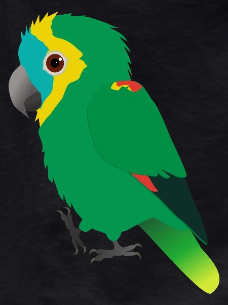 Blue-fronted Amazon parrot