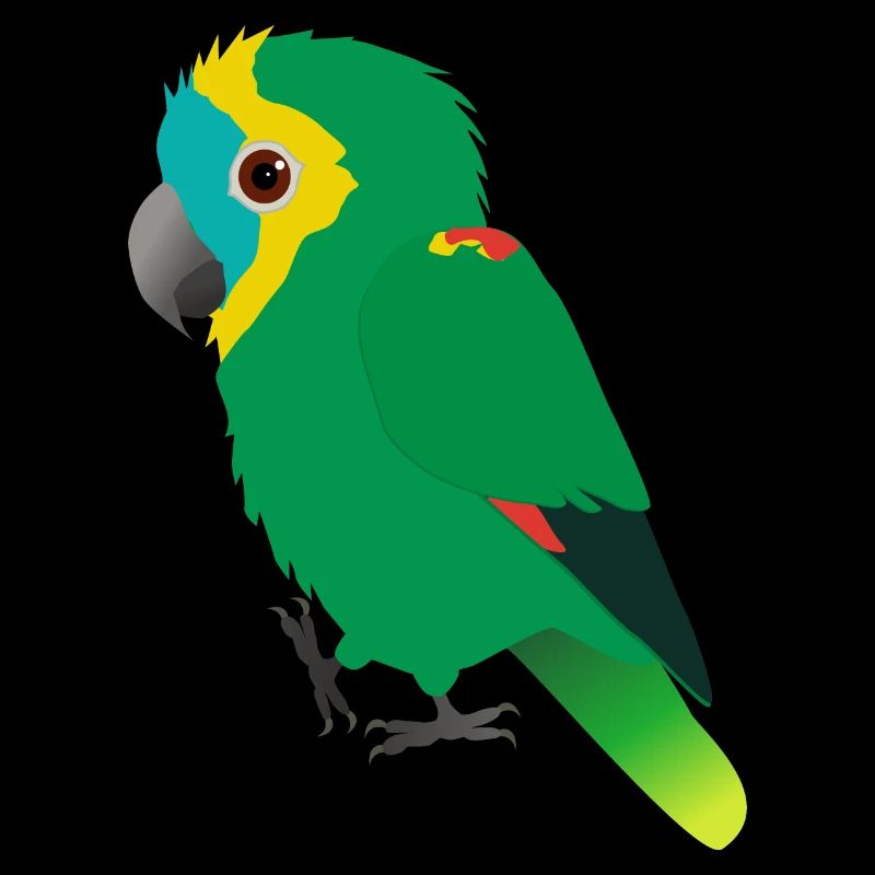 Amazonas-Papagei mit blauer Front