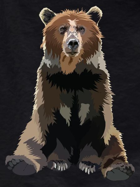 Brown bear