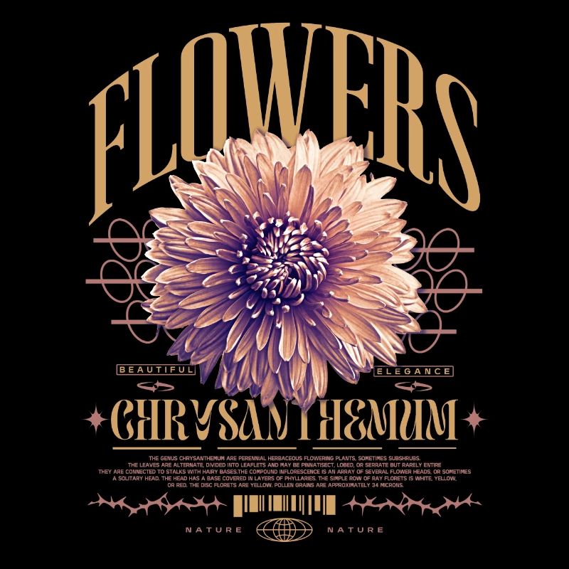 Chrysantheme Chrysanthemen