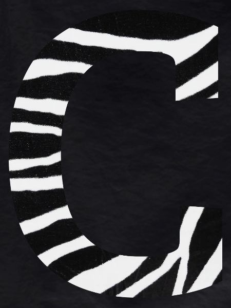 Letter c zebra