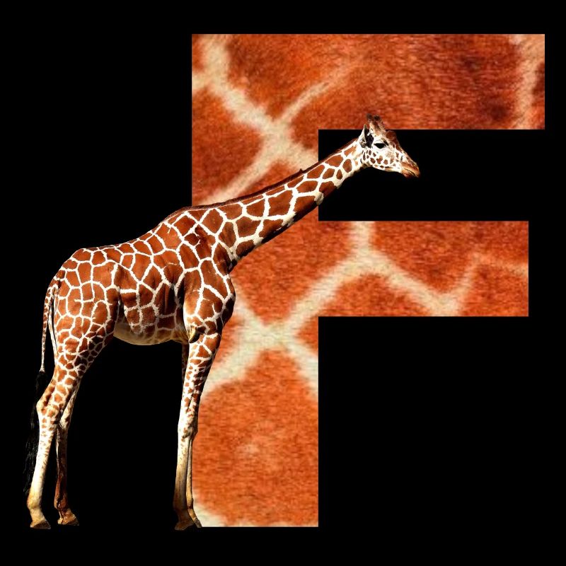 girafe f