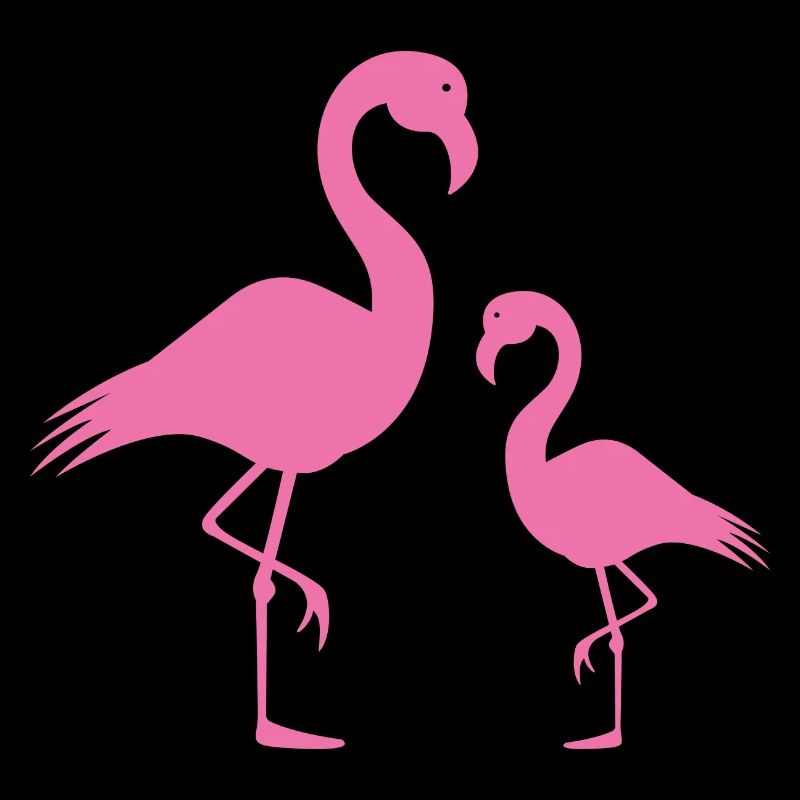 Flamants roses