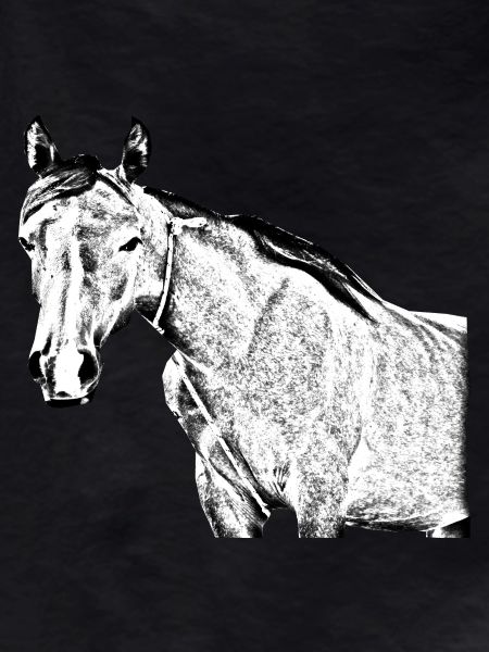cheval