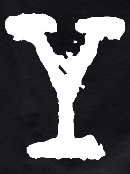 Y