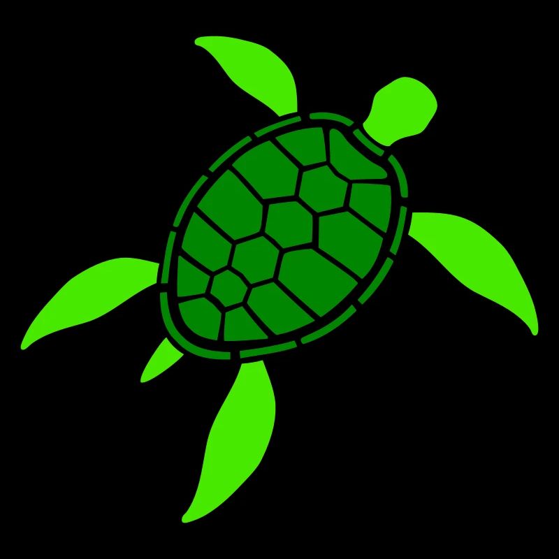 Turtle Turtle Shell Icon Logo Cool